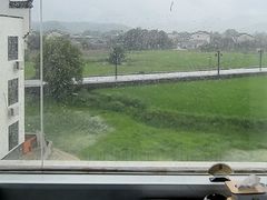 -黄牛肉馆·皖南土菜