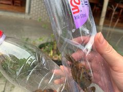 -黄埔古港