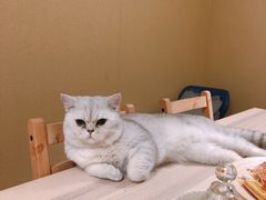 -白兔子密室(长寿路店)