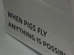 -WHEN PIGS FLY当猪飞