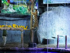 -清迈夜间动物园