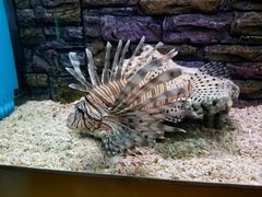 -北戴河圣蓝海洋公园