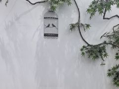 -耳艺采耳·足疗(市桥店)