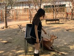 -水上乐园·欢乐世界