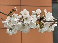 -山东省千佛山医院