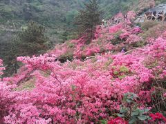 -木兰云雾山