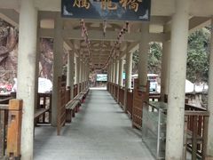 -九龙江国家森林公园