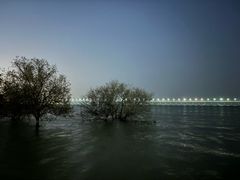 -宝安西湾红树林湿地公园