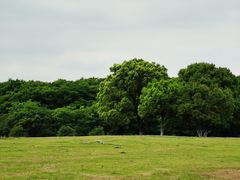 -钟山体育运动公园