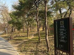 -元大都城垣遗址公园