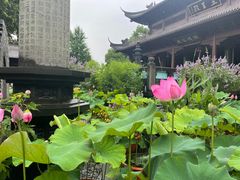 -钱王祠