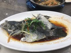 花斑鱼-尖沙咀酒店(大沥店)