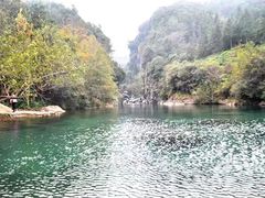 -祁门牯牛降观音堂风景区