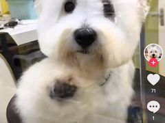 -德元·美联众合24小时动物医院(总院)
