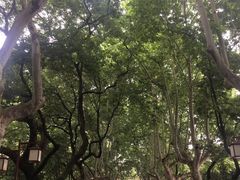 -浙江省杭州高级中学(贡院校区)