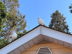 -泉城广场