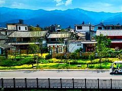 -洱海月湿地公园