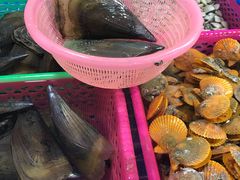 -三亚新鸿港水果一级批发市场