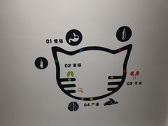 -御宝贝·A梦猫科宠物医院(国际猫友好医院)