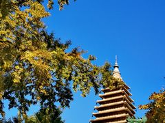 -北京石刻艺术博物馆(五塔寺)