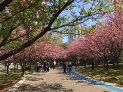 -苏州河梦清园环保主题公园