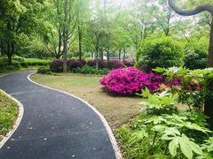 -新江湾城公园