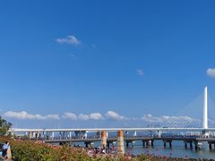 -深圳湾公园(南山区)
