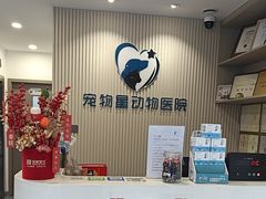 -宠物星动物医院·眼科·异宠·猫科(江南大道总院)