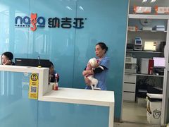 -纳吉亚猫专科动物诊疗中心(蒋宅口分院)