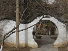 -桃花堤公园
