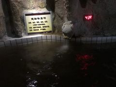 -金隅凤山酒店
