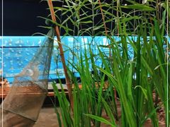 -浙江自然博物院(杭州馆)