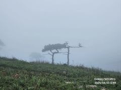 -萍乡武功山风景名胜区