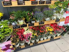 -Co.opmart (Cong Quynh)