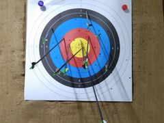 -蓝天射箭馆·专业射箭运动(诚丰广场店)