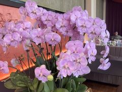 -苏城家宴·金堤花园店(李公堤店)