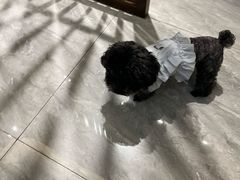 -艾之灸养生馆·推拿·艾灸