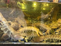 -顺德了能馆(虎门店)