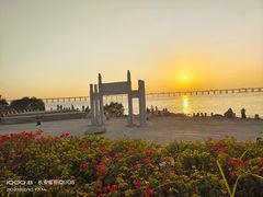 -宝安西湾红树林湿地公园