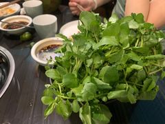 西洋菜-东椰·海南椰子鸡火锅(朝阳门店)