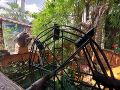 -园林美食城·本土农家菜(杨和镇店)