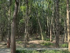 -同里国家湿地公园