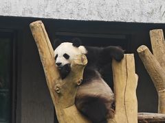 -沈阳森林动物园