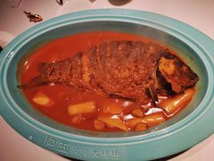 -阿五黄河大鲤鱼(纬三路店)