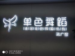 -单色舞蹈