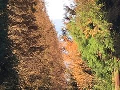 -山王坪喀斯特国家生态公园