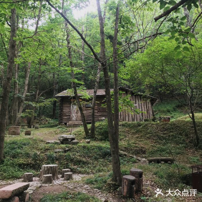 牛背梁国家森林公园图片
