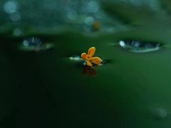 -杭州少年儿童公园