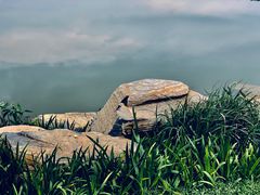 景点-光明小镇欢乐田园