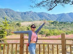 -福清灵石山国家森林公园